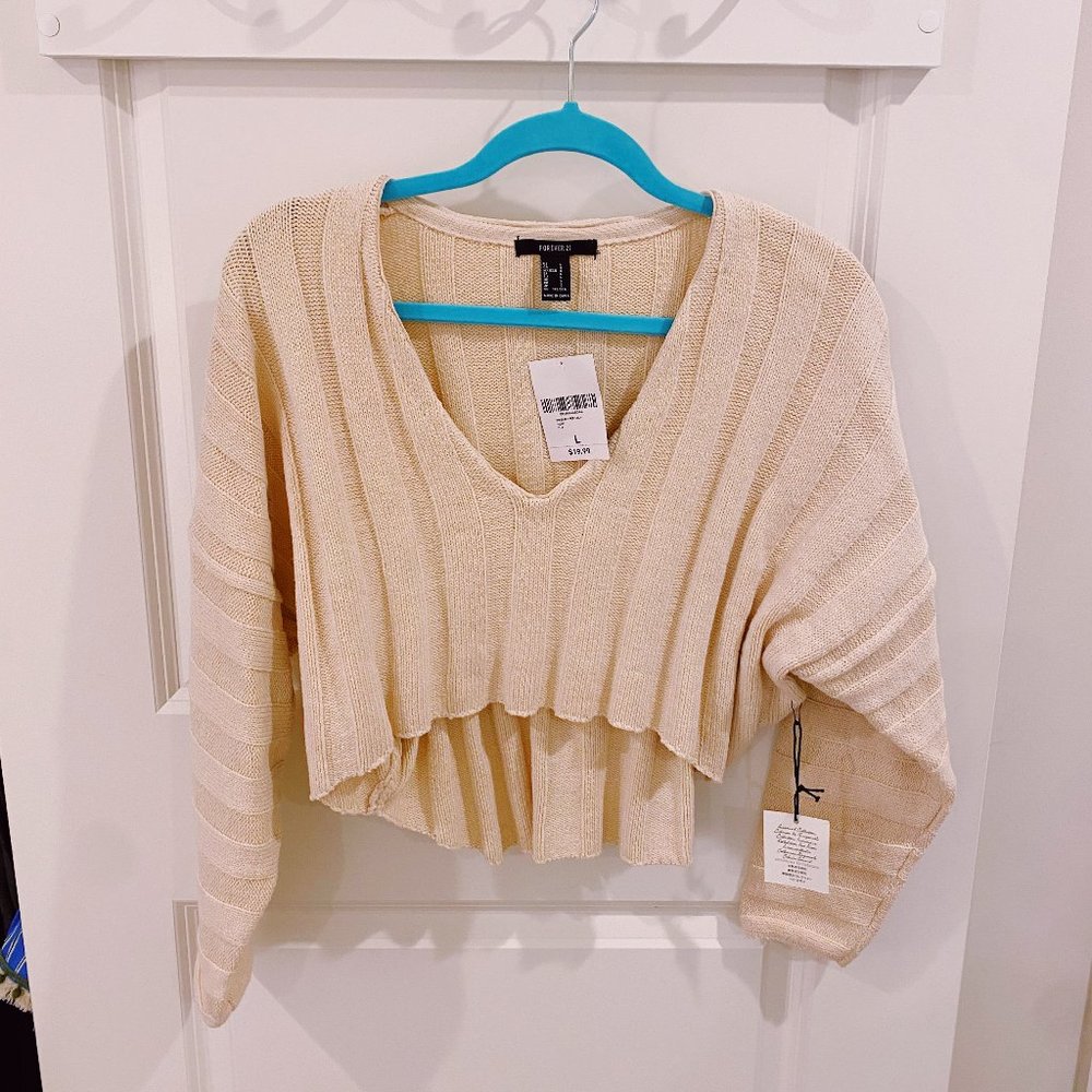 F21 Cropped Sweater